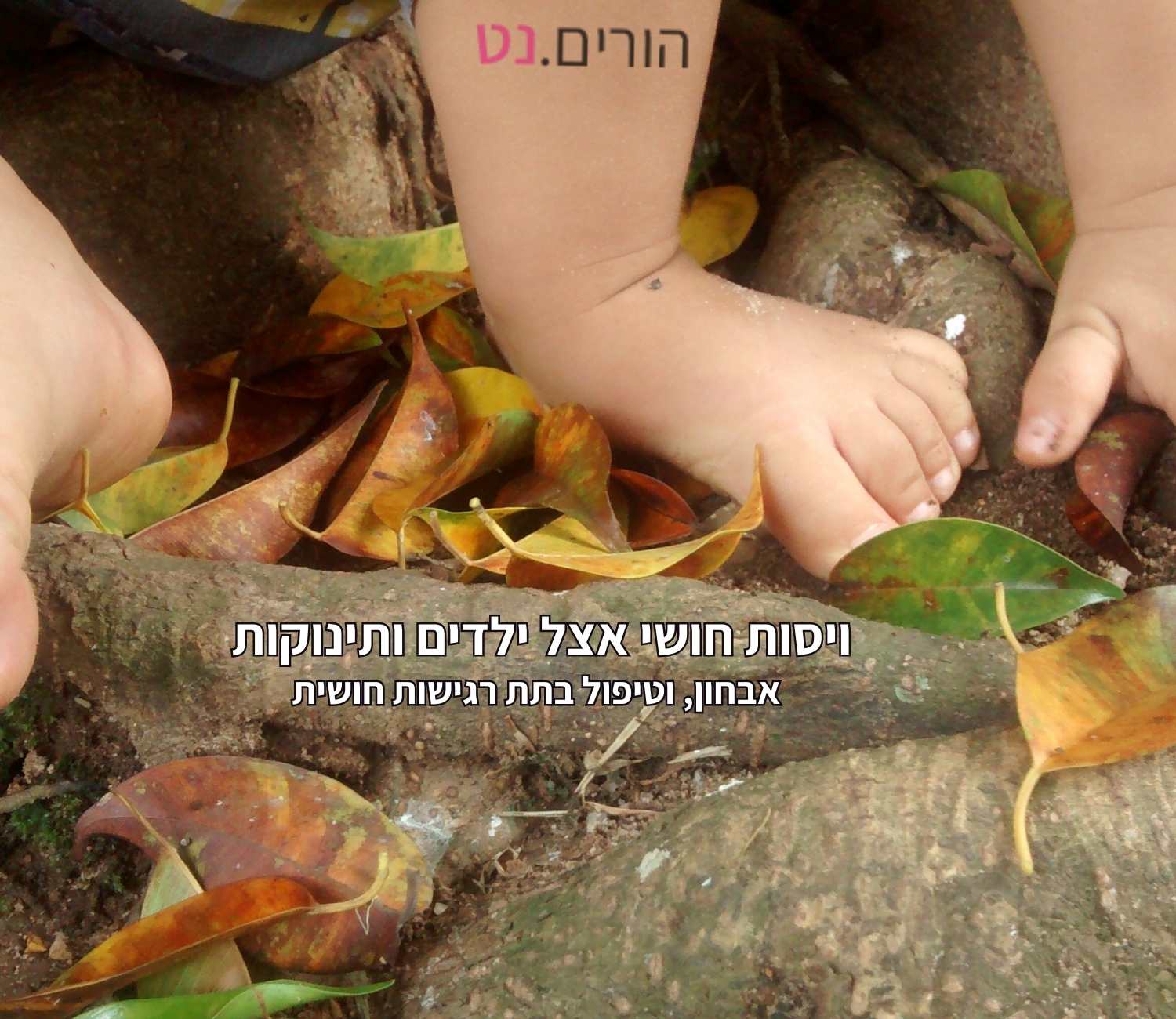רגליים יחפות וידיים של ילד עם או בלי קשיי ויסות חושי - דורכות על עלים ושורש עץ