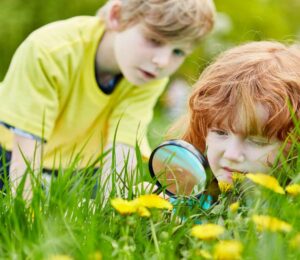 ילדים חוקרים יער, מסתכלים על החי והצומח